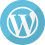 WordPress Style Scanner